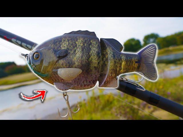 Fishing with ULTRA Realistic Bluegill Swimbait!