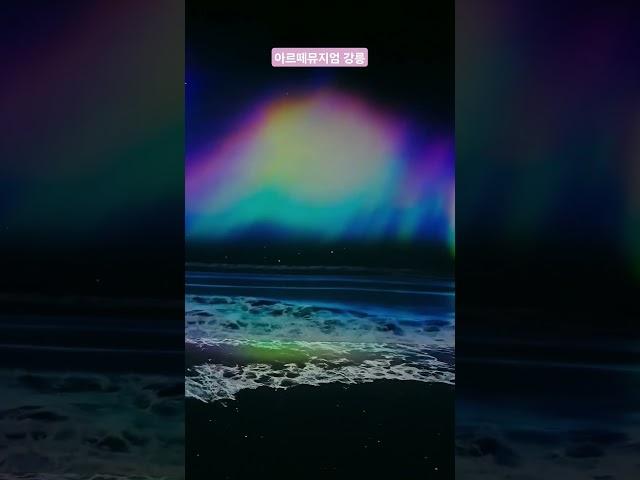 #아르떼뮤지엄강릉 #artemuseum #강릉 #파도 #wave #강릉여행 #강원도 #beach #ocean #쇼츠 #shorts