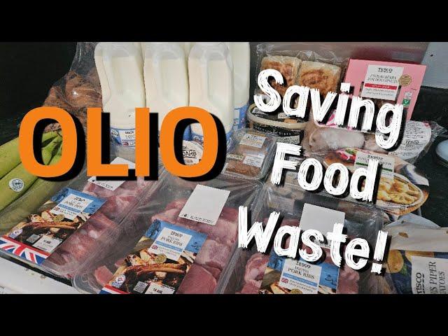 Olio Collection  Saving Food Waste  Free Food  OLIO App