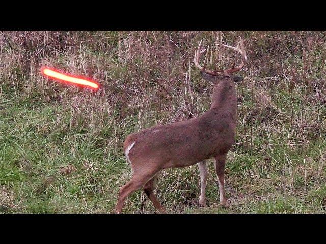 20 Shots in 20 Minutes! (ULTIMATE Bowhunting Compilation)