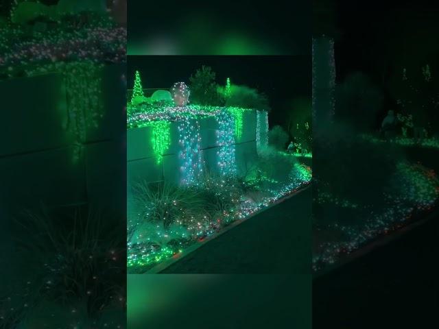 Norfolk Botanical Garden's Dazzling Lights: Experience the Magic of Norfolk’s Garden of Lights!