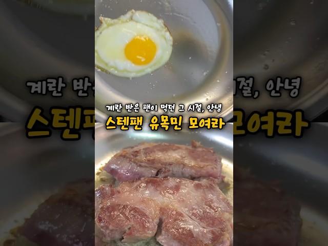 퍼기 스텐팬 솔직후기 고기 굽기 이렇게 달라질 일인가요?!