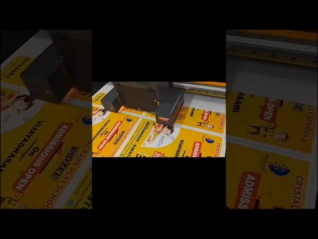 Direct Sunpack and Foam Sheet Eco Solvent Hybrid Printer