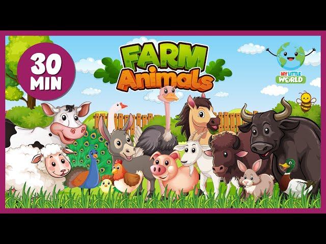 Farm Animals - My Little World