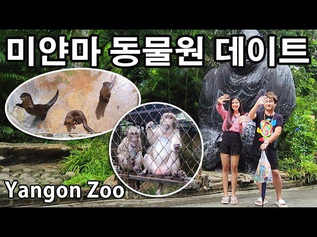 미얀마 미녀 여배우와 동물원 데이트 | The Yangon Zoo in Myanmar | မြန်မာတိရစ္ဆာန်ရုံ