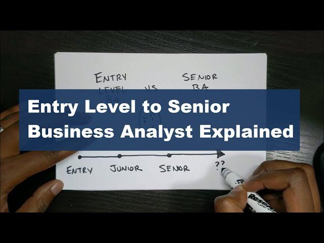 Business Analyst Levels Explained From Entry Level to Senior Business Analyst and Beyond