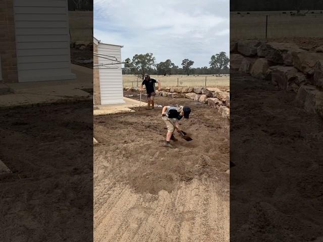 Australian lawn care crew #crew #muscle #shorts