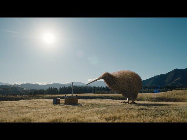 Stop dreaming about New Zealand and go.