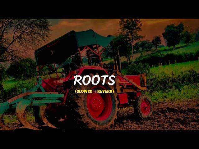 Roots (Slowed +Reverb) Lofi -Bintu Pabra #haryanvi