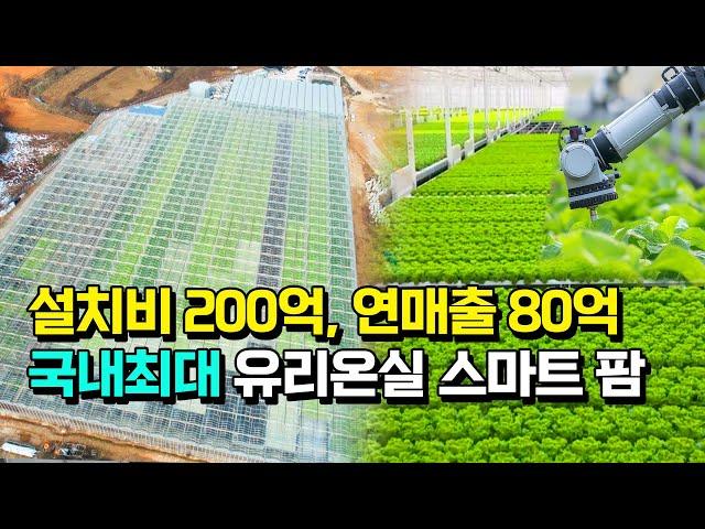 [구독자 이벤트] 국내최대 7000평 유럽채소 스마트팜이 인력 없이 자동화로 운영되는 이유