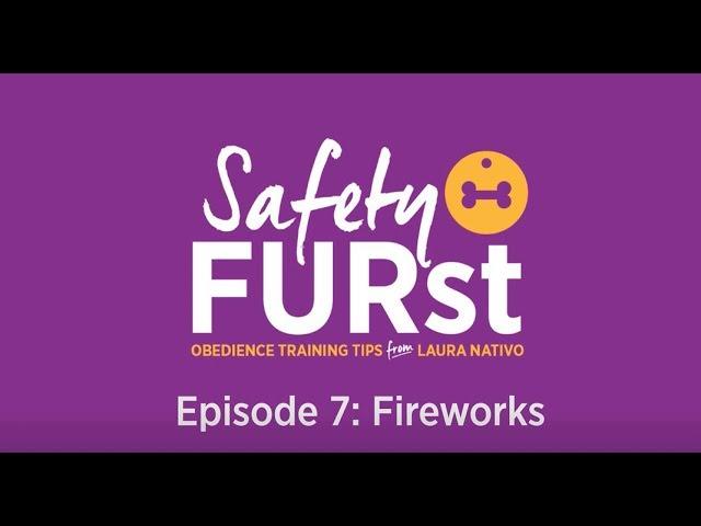 Tips for Managing Your Dog's Fireworks Anxiety | Safety FURst by Embrace Pet Insurance