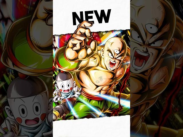 NO TEAMS, NO ZENKAIS AND STILL INSANELY BROKEN!! NO ONE CAN STOP THEM!! | Dragon Ball Legends