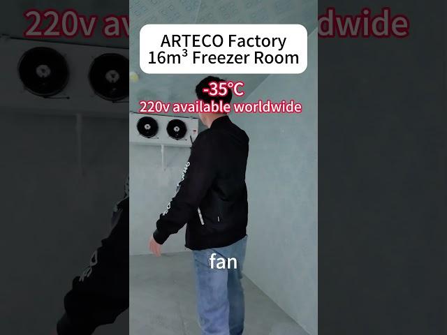 ARTECO mobile cold room is Small but useful#coldroom #walkinfreezer #coldstorage#refrigerator