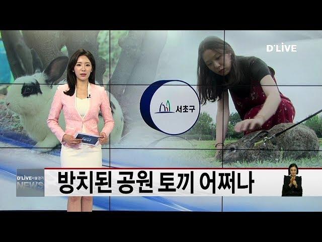 서초_방치된 공원 토끼 어쩌나(서울경기케이블TV뉴스)