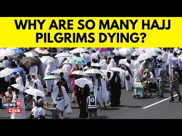 Why Are So Many Hajj Pilgrims Dying? | Hajj 2024 News Today | Heatwave News Today | N18G