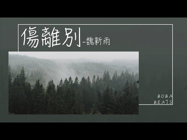 傷離別 - 魏新雨 (yuyu)『你離開以後天空飄起了大雪 我等你年年花開花謝』【動態歌詞】