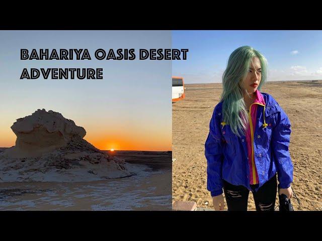 Bahariya Oasis Desert Camping Vlog - Egypt Trip