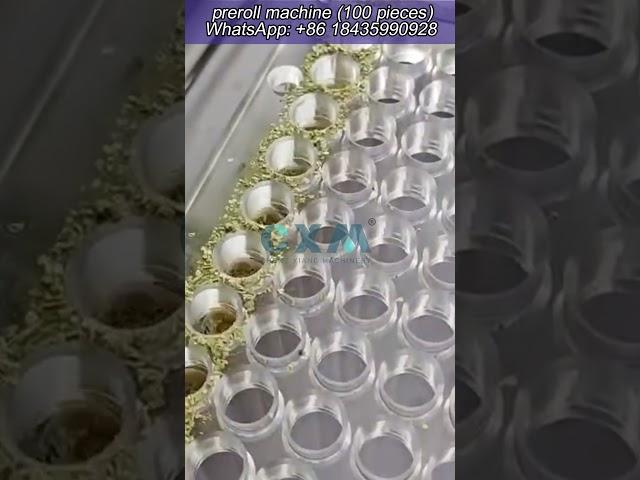 preroll machine 100 pcs preroll #prerolltubes #fillingmachine #packaging #shortvideo #factory