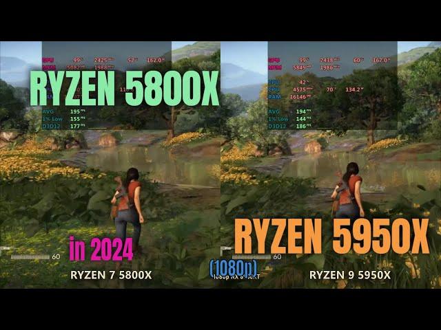 RYZEN 5800X vs RYZEN 5950x 2024