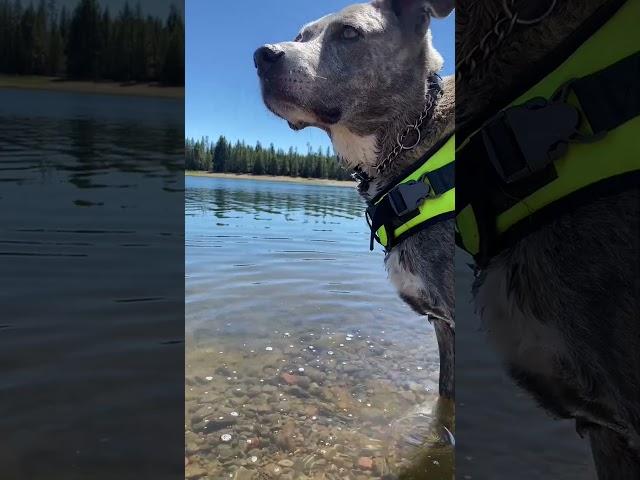 Finding joy in oregon: lakes, family, and fireworks #4thofjuly #lakeside #oregonlife