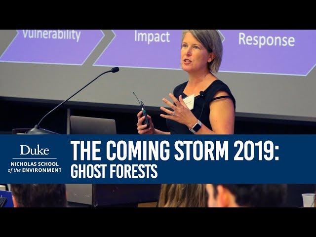The Coming Storm 2019: Ghost Forests