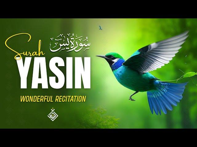 Surah Yasin (Yaseen) سورة يس | Relaxing heart touching voice | Al-Taqwa TV