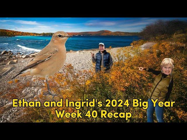 Ethan and Ingrid's 2024 Big Year (Week 40)