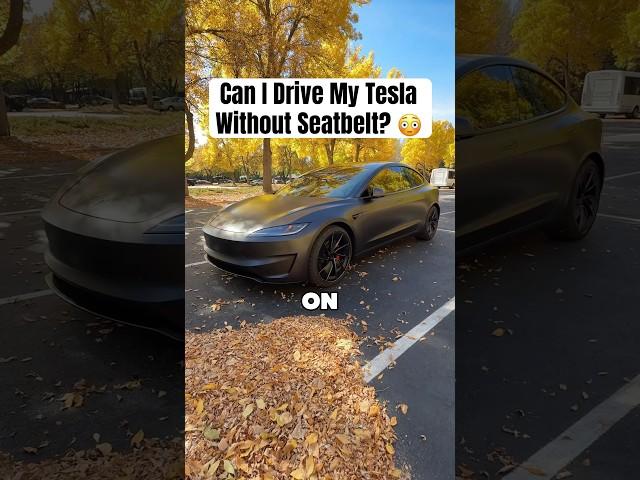 Can I Drive My Tesla Without My Seatbelt On?