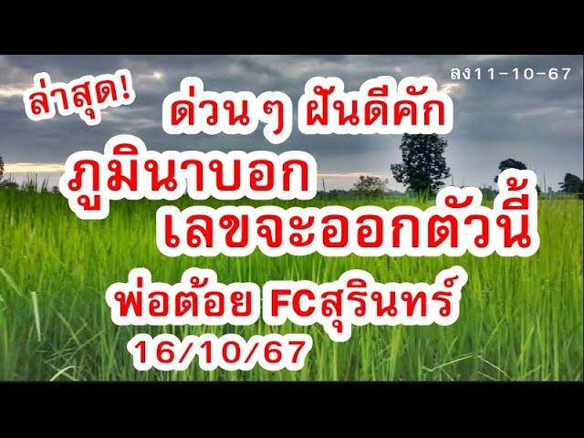 ด่วน ล่าสุด! ภูมินาบอก มันจะออกตัวนี้  ฝันดีคัก พ่อต้อย FC สุรินทร์ 16/10/67