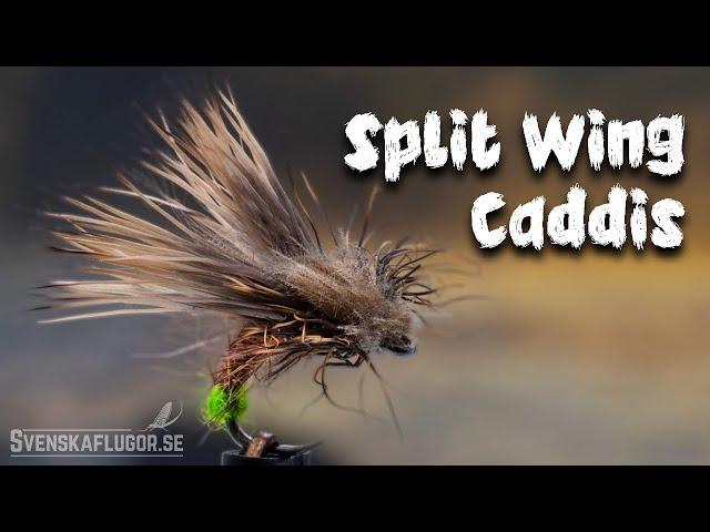 Split Wing Egg Laying Caddis | Flugbindning | Svenskaflugor.se