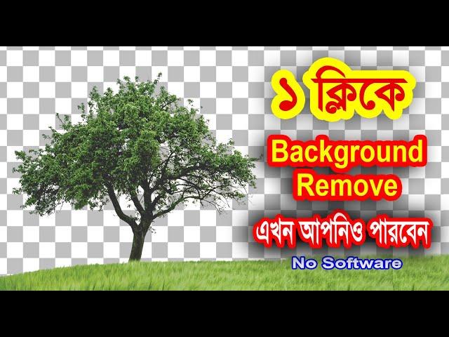 How to Remove Background From Any Photo without any Software in Bangla | Munas Tech