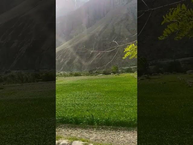 Bagrot Valley Gilgit ️#beatifulnature #mountains view #travel #youtubeshort #viralshort