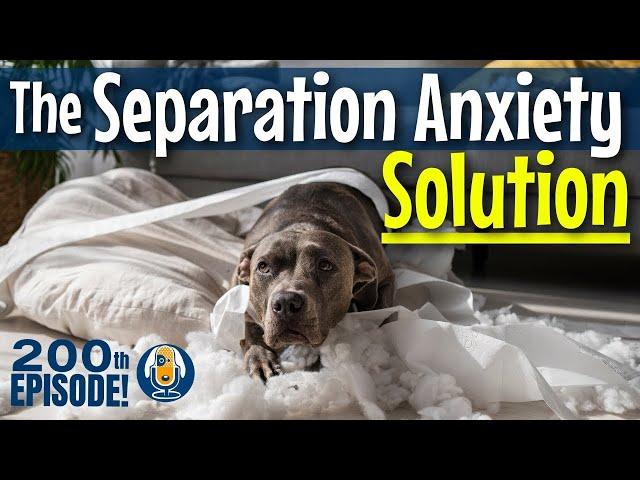 Solve Your Dog's Separation Anxiety With FRIDA: Expanding Calm With Functional Relaxation #200