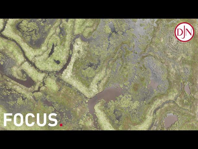 Focus #6 - Giving land back to nature