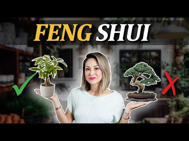 Feng Shui - BEST INDOOR PLANTS (plus 2 to AVOID!) | Julie Khuu