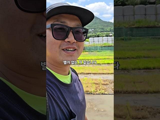 유명해졌습니다 #청년농부진이 #실패