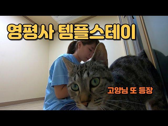 이정도면 피리부는 사나이 아니냐?(아님) | 영평사1