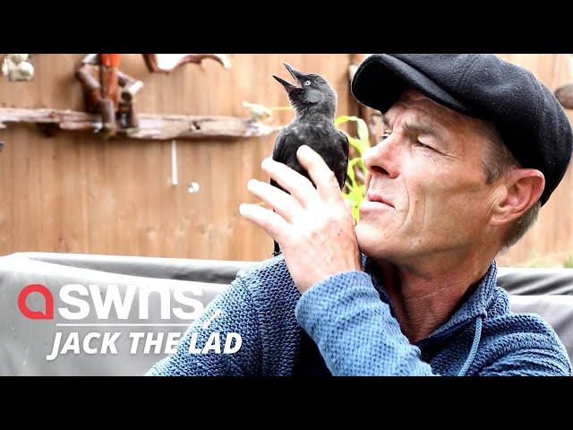 UK man and a jackdaw form an adorable bond - and even go on bike rides together | SWNS