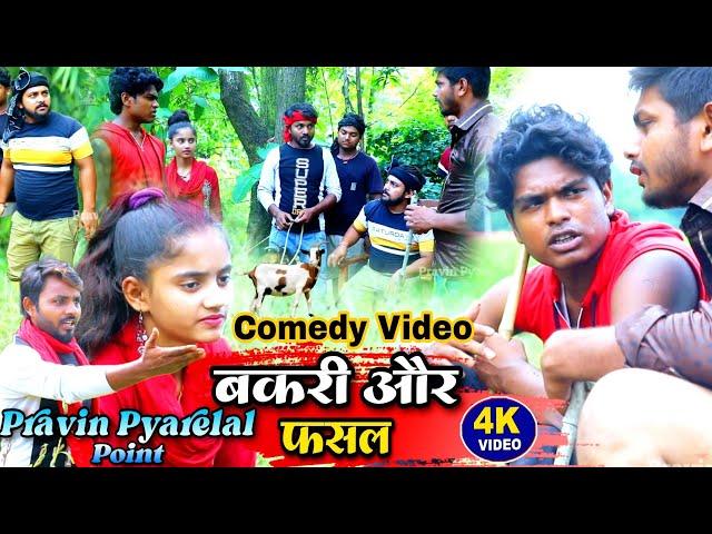 बकरी और फसल - Bakri Aur Fasal - Pravin Pyarelal Point - New comedy video