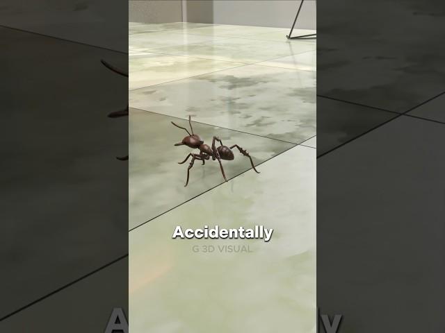 Stepped on an Ant? Here’s What Really Happens Next!