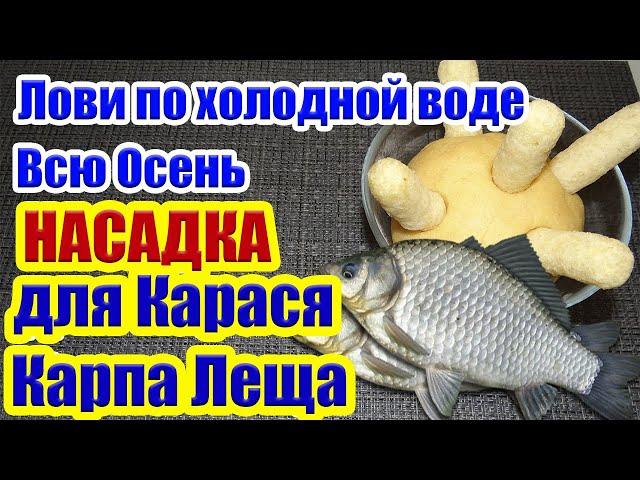 Лови по Холодной Воде всю Осень Насадка на  Карася Карпа Леща На что ловить рыбу осенью