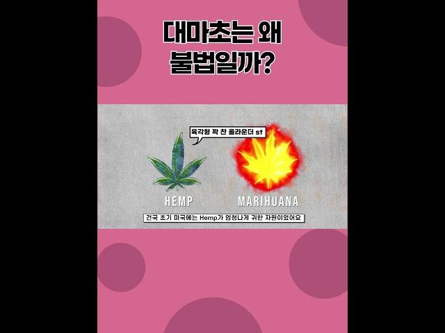 대마초는 왜 불법이 되었을까? | 대마초의 역사
