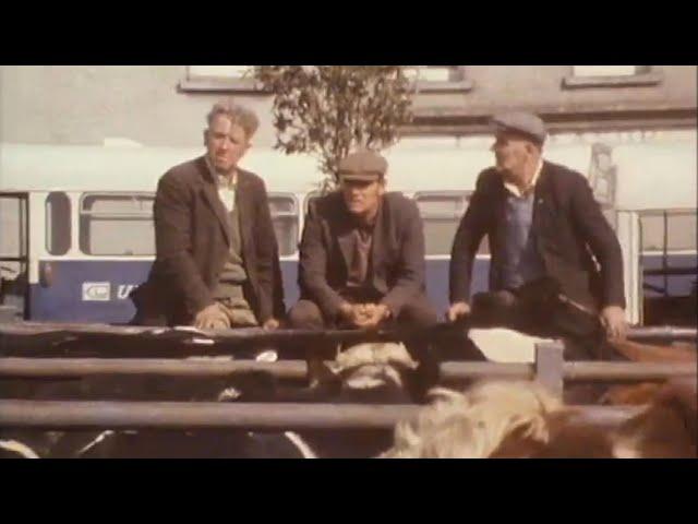 Life in Crossmaglen, Co. Armagh, Ireland 1977