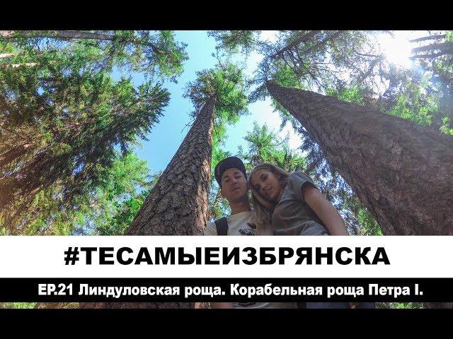 ЭПИЗОД 21. Линдуловская роща. Корабельный лес Петр I.