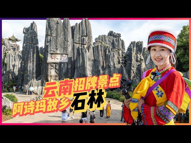 云南招牌景点 阿诗玛的故乡 石林 | Yunnan Shilin