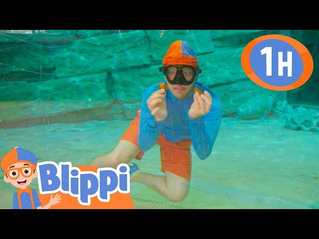 Blippi Searches For the Mother Pearl | Blippi | Kids Songs | Moonbug Kids