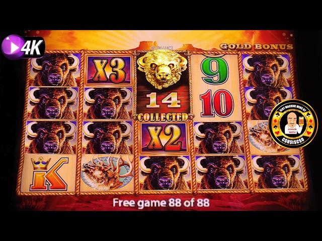 MASSIVE JACKPOT on Buffalo Gold SO MANY SPINS