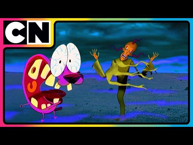 Courage The Cowardly Dog | The Vampire  Muriel Mystery! | Compilation | @cnindia