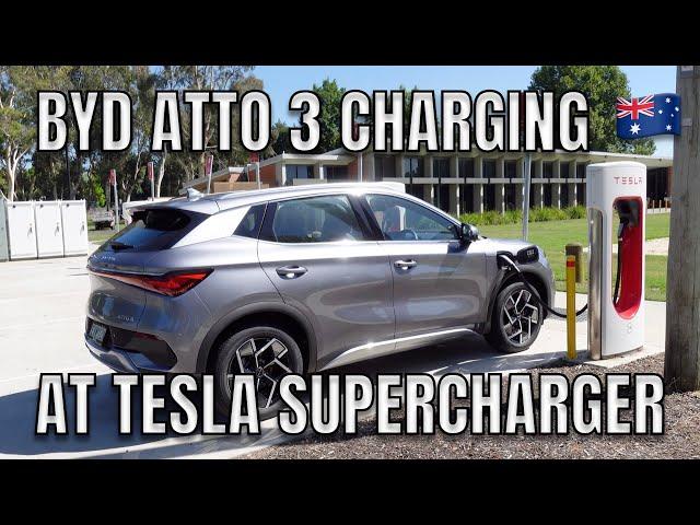 BYD ATTO 3 CHARGING AT TESLA SUPERCHARGER IN AUSTRALIA | February 2023