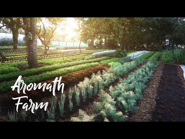 AMAZING Small Farm in France Under TREES! // Aromath Farm